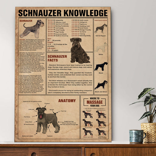 Schnauzer's Knowledge Poster