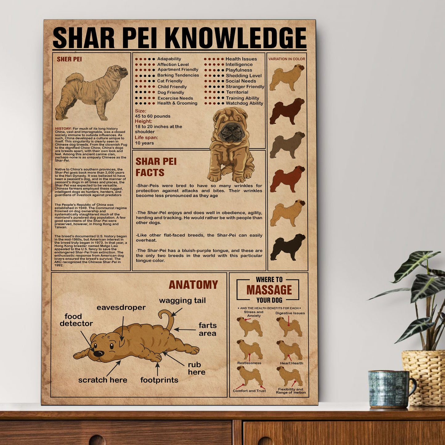 Shar-pei's Knowledge Poster