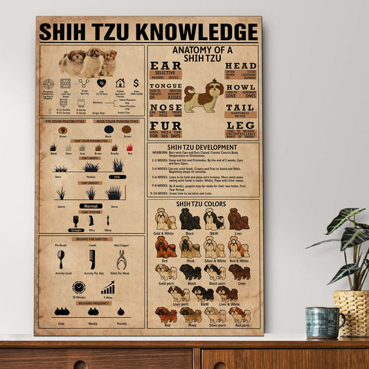 Shih Tzu's Knowledge Poster