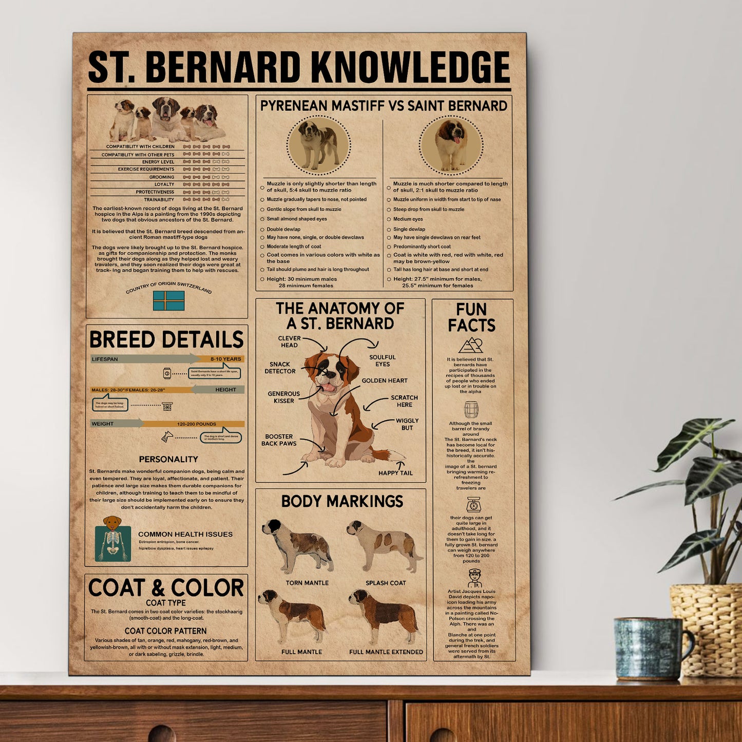 St. Bernard's Knowledge Poster