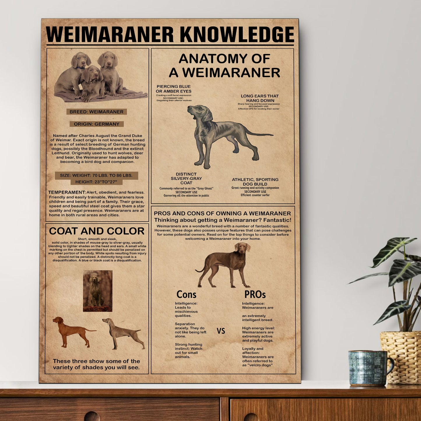 Weimaraner's Knowledge Poster