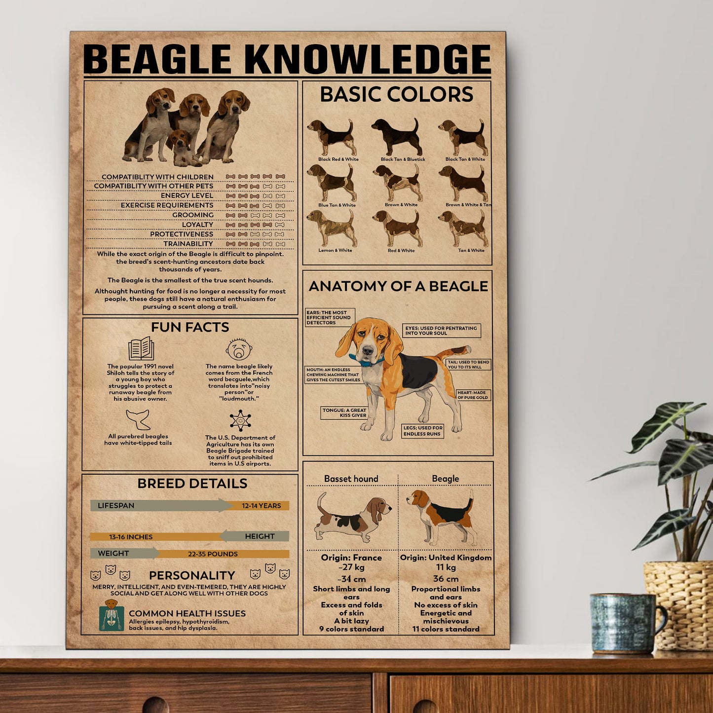 Beagle's Knowledge Poster