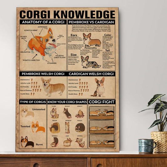 Corgi's Knowledge Poster