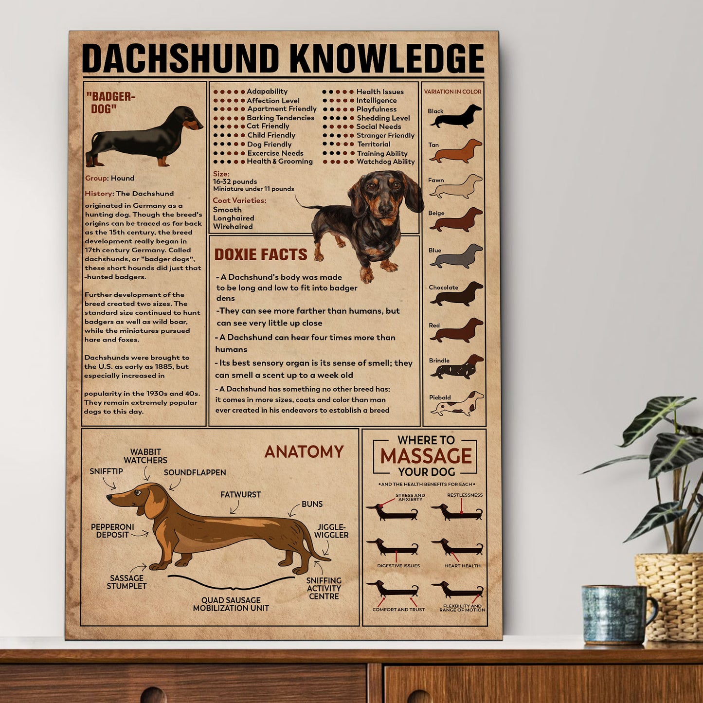 Dachshund's Knowledge Poster