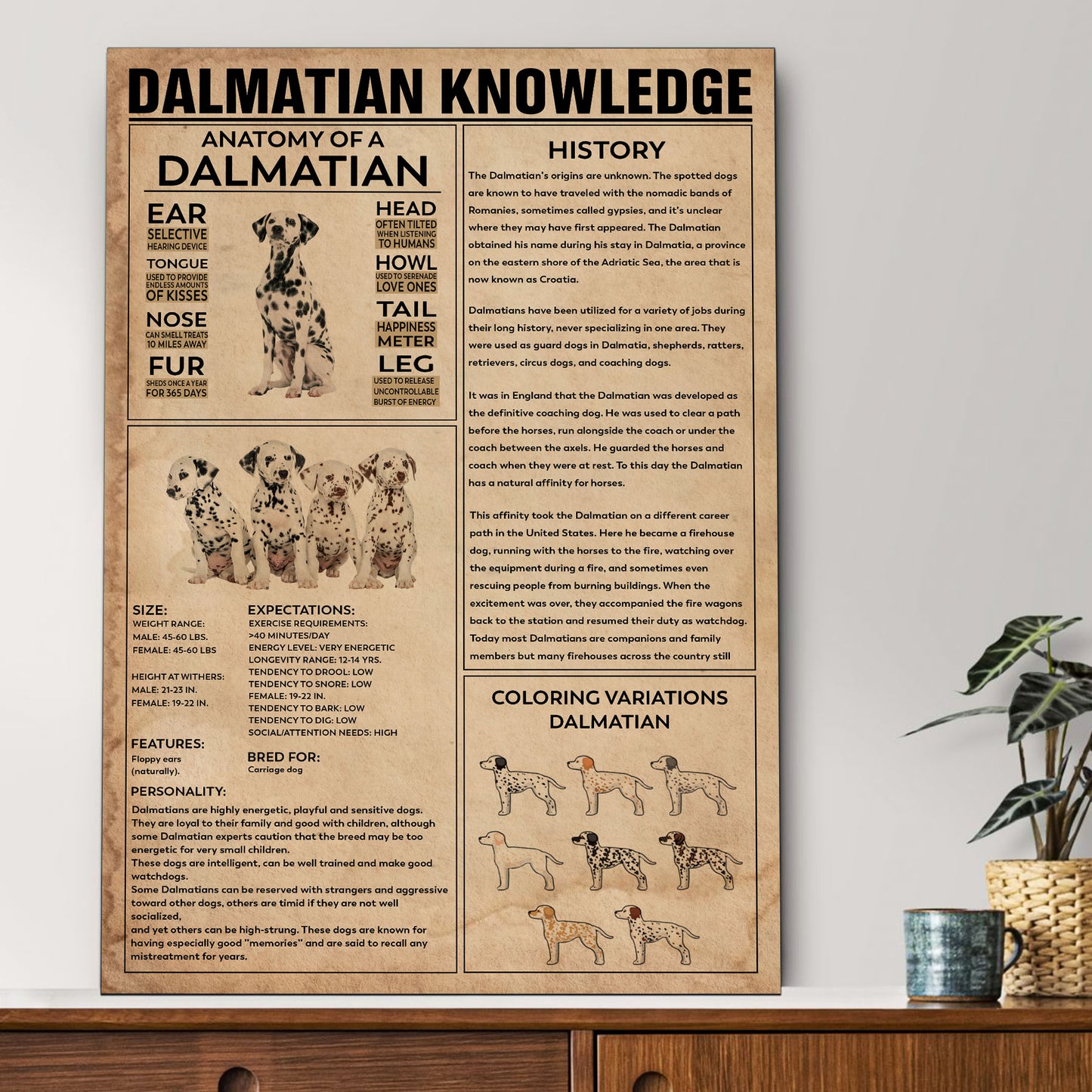 Dalmatian's Knowledge Poster