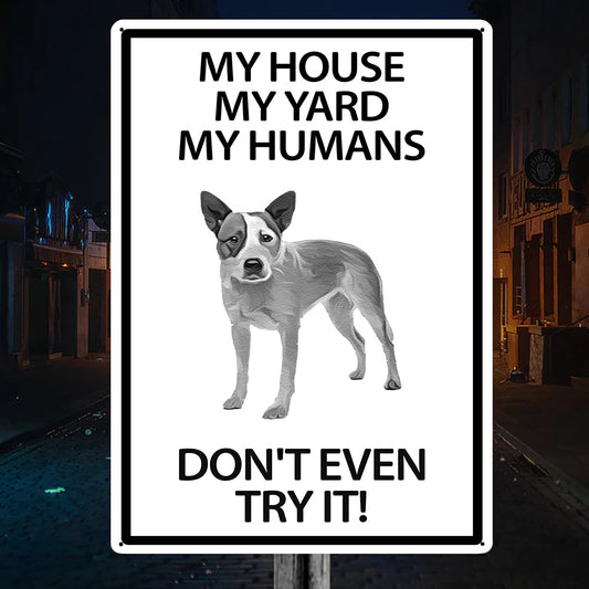 Red Heeler Yard Warning Sign