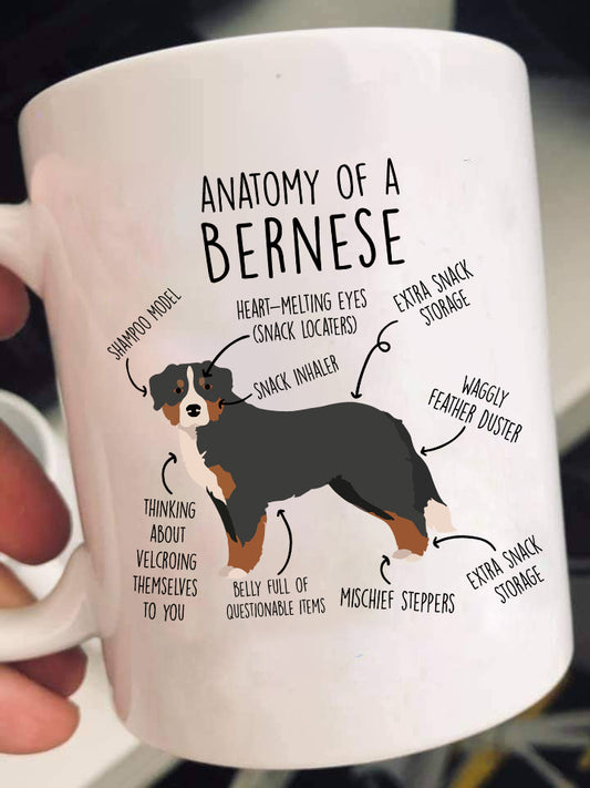 Anatomy Of A Bernese Shirts & Gifts