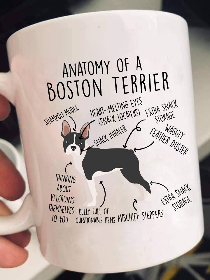 Anatomy Of A Boston Terrier Shirts & Gifts