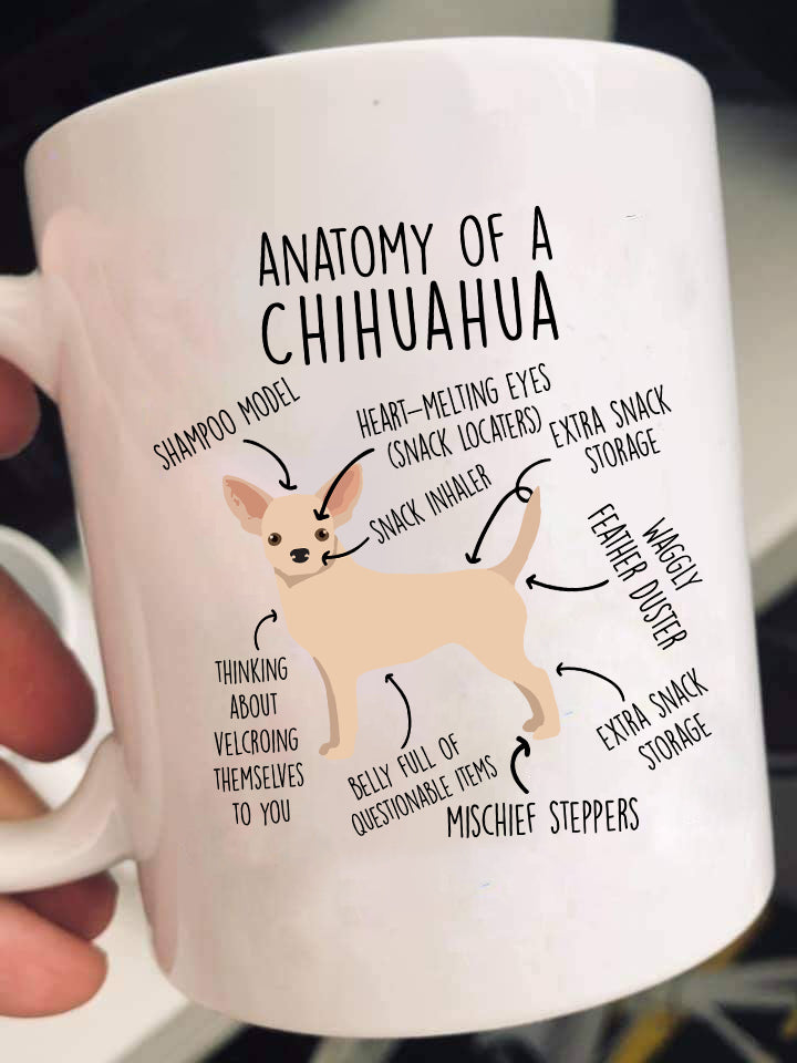 Anatomy Of A Chihuahua Shirts & Gifts