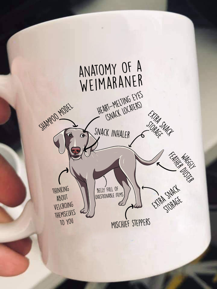 Anatomy Of A Weimaraner Shirts & Gifts