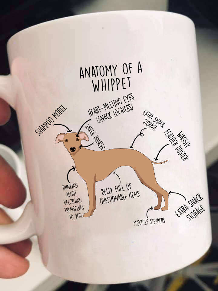 Anatomy Of A Whippet Shirts & Gifts