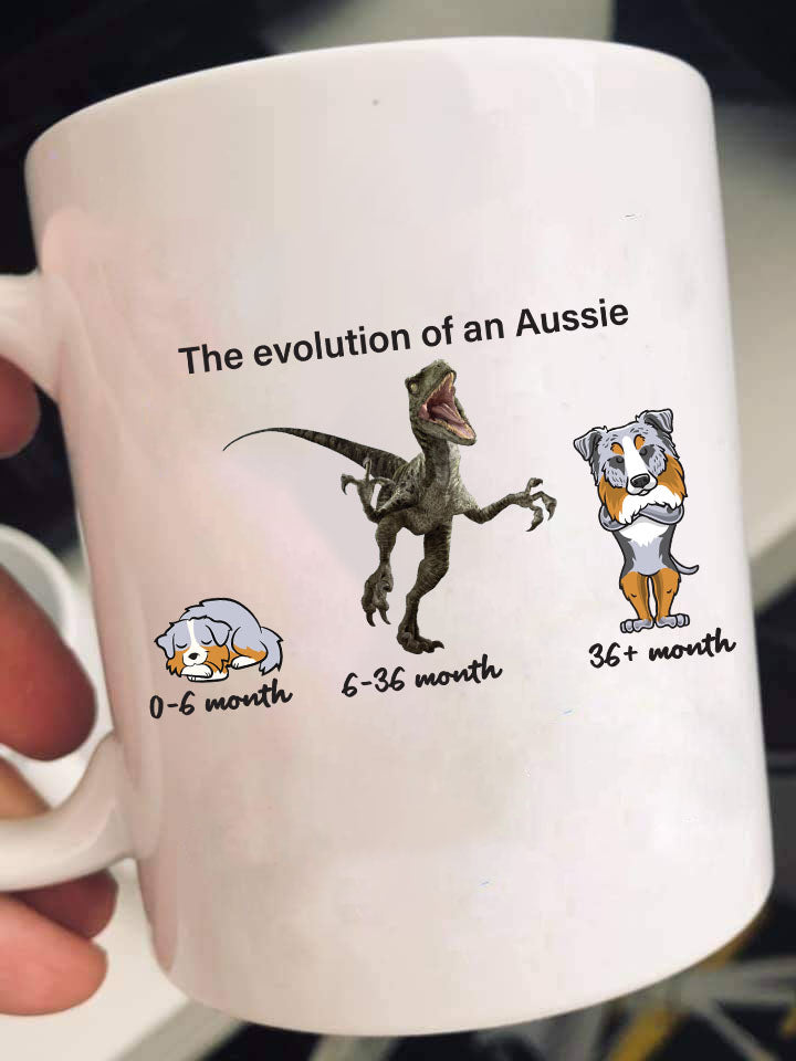 Evolution of Aussie