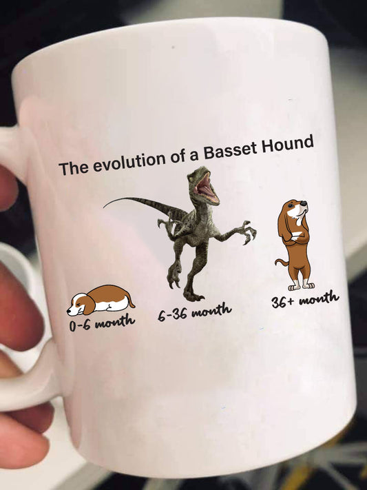 Evolution of Basset Hound