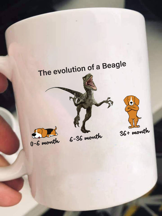 Evolution of Beagle