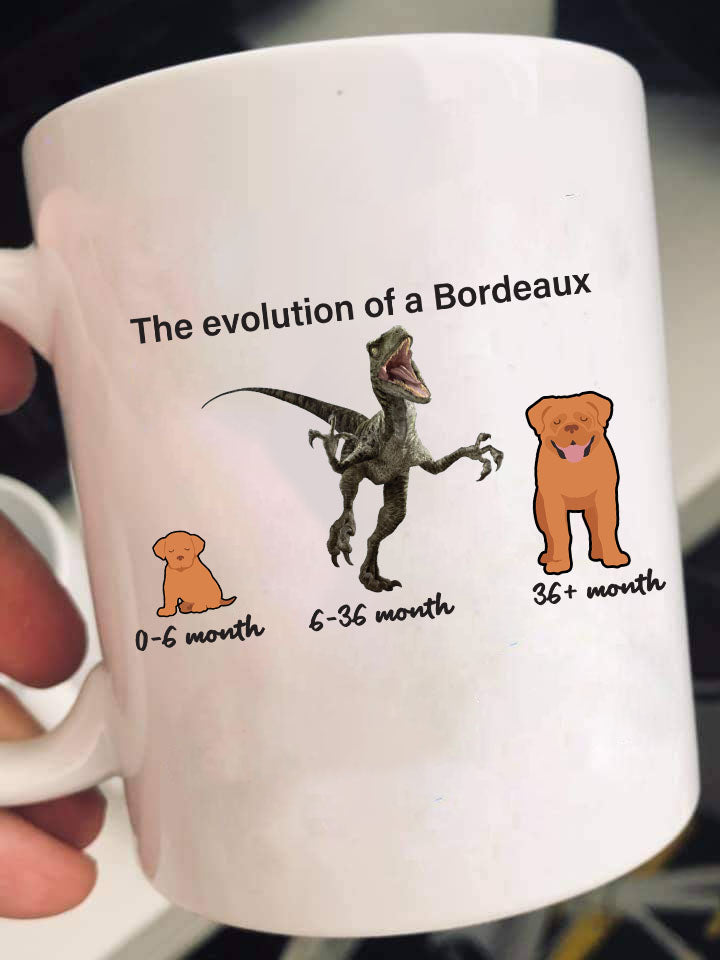 Evolution of Bordeaux