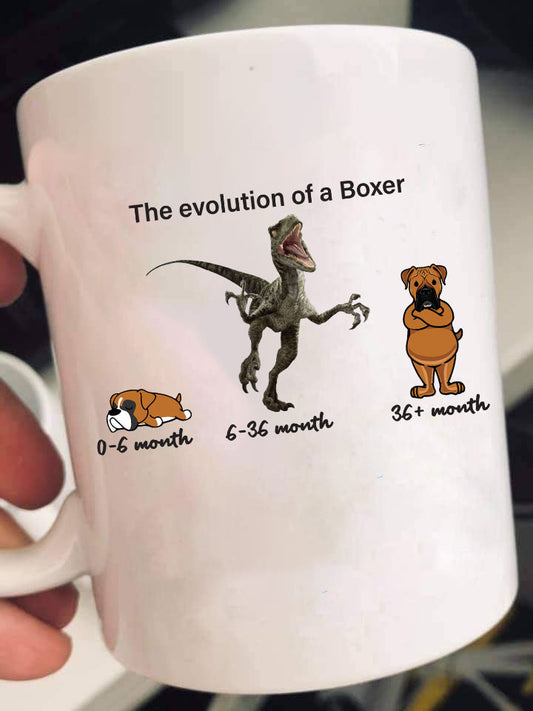 Evolution of Boxer