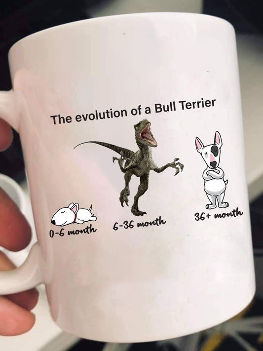 Evolution of Bull Terrier