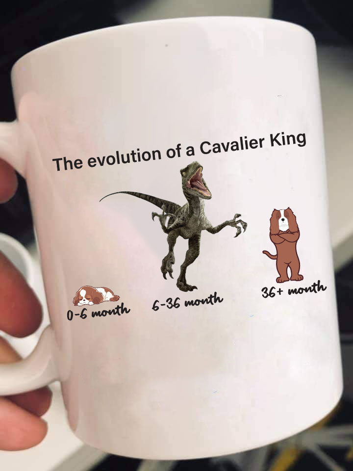 Evolution of Cavalier