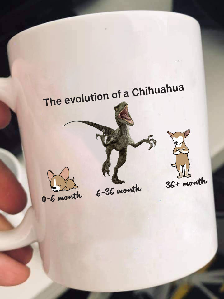 Evolution of Chihuahua