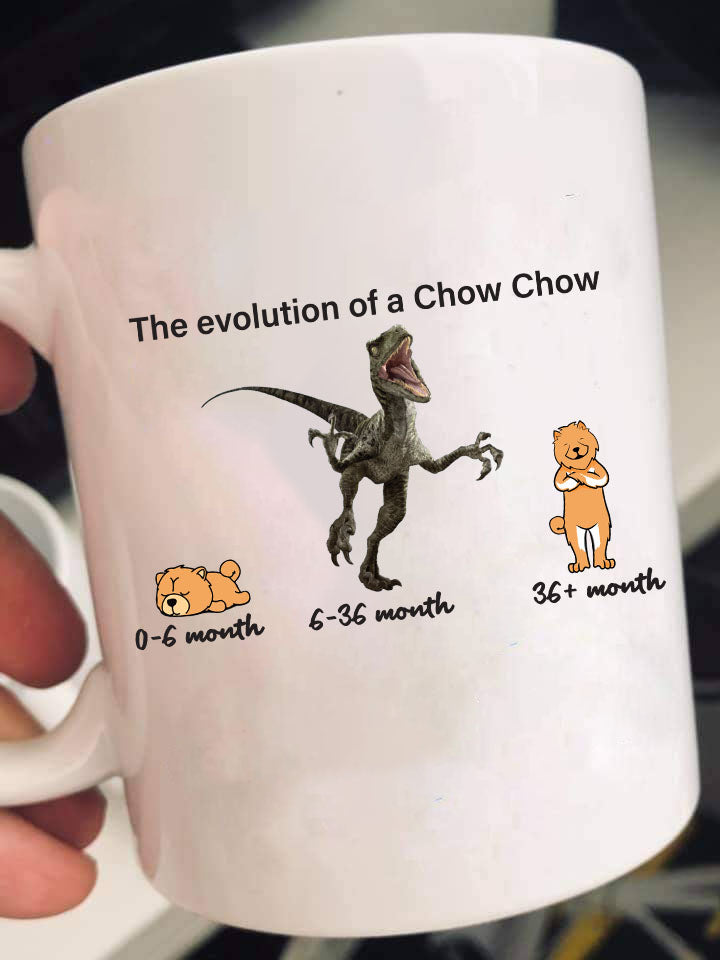 Evolution of Chow Chow