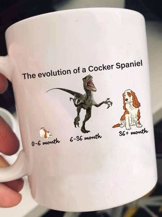 Evolution of Cocker Spaniel