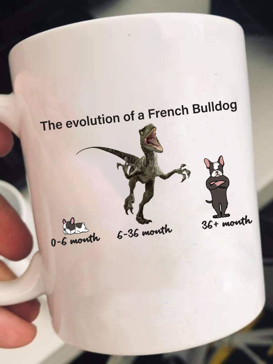 Evolution of Frenchie