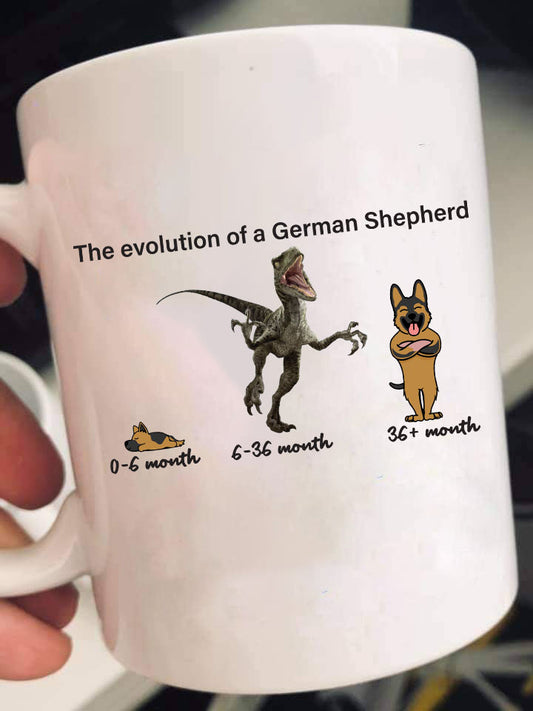 Evolution of German Shepherd