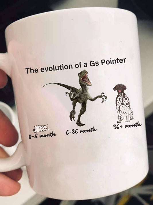 Evolution Gs Pointer