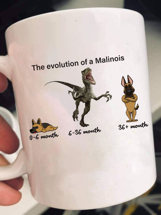 Evolution of Malinois