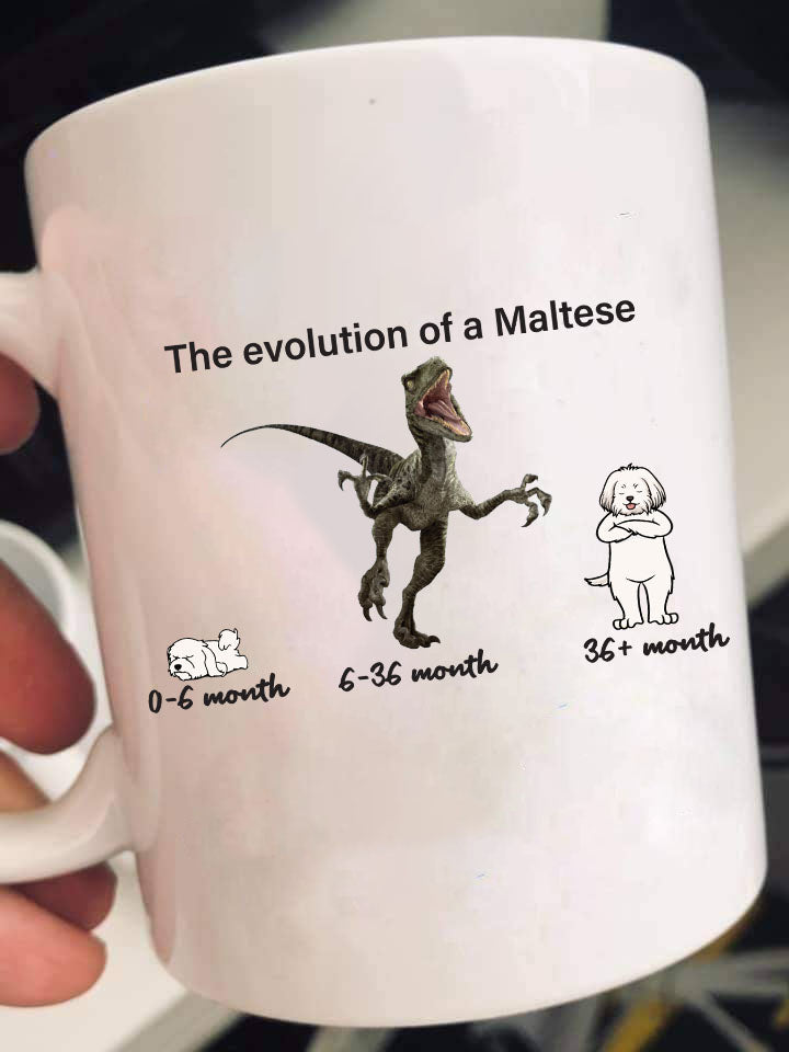 Evolution of Maltese