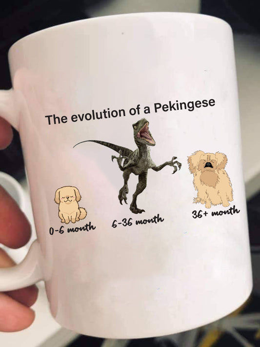 Evolution of Pekingese