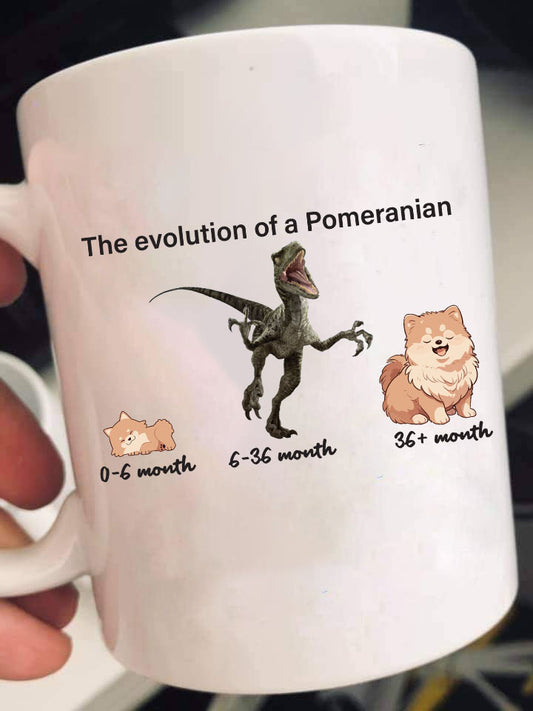 Evolution of Pomeranian