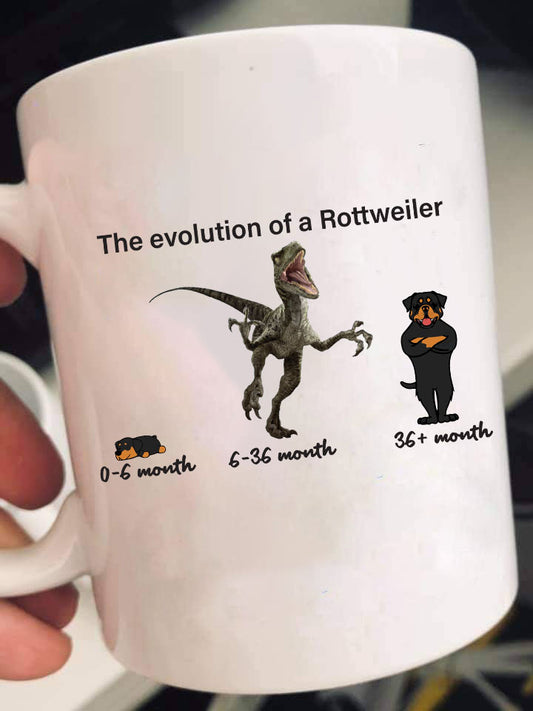 Evolution of Rottweiler