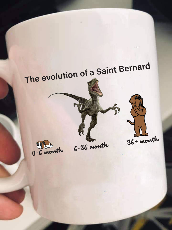 Evolution of Saint Bernard