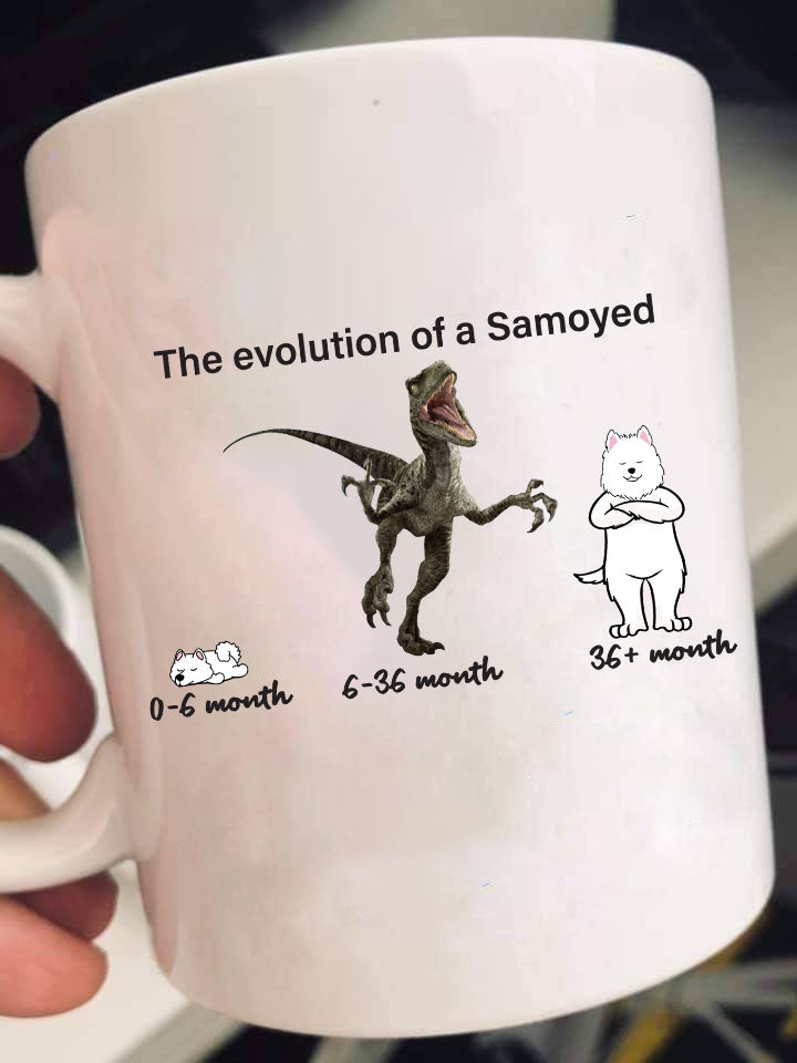 Evolution of Samoyed