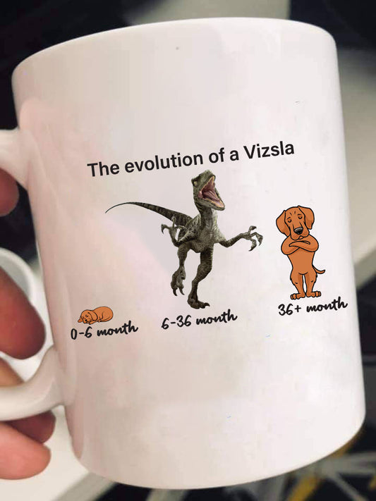 Evolution of Vizsla