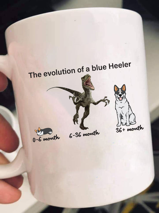 Evolution of Blue Heeler