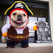 Pirate Dog Halloween Costume