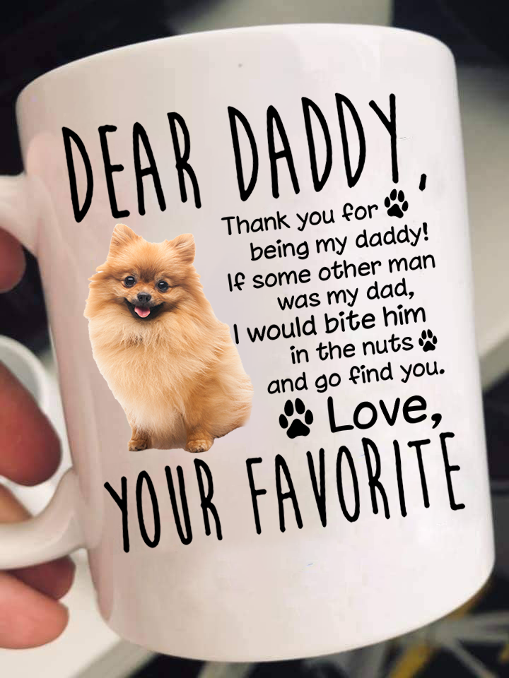 Dear Pomeranian Dad Mugs