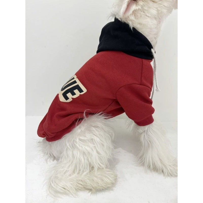 Schnauzer Winter Stylish Hoodie