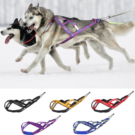 Sled Dog Harness