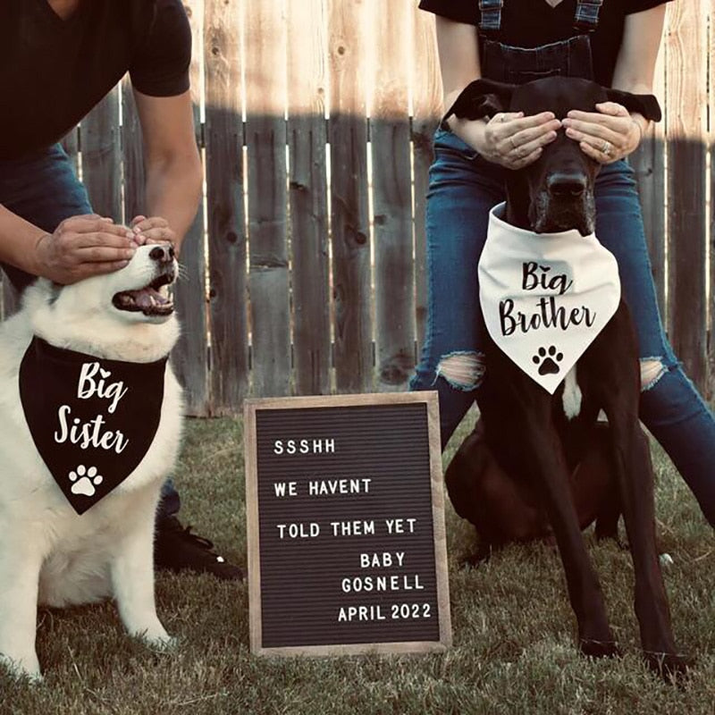 Adorable Dog Big Brother & Sister Bandanas