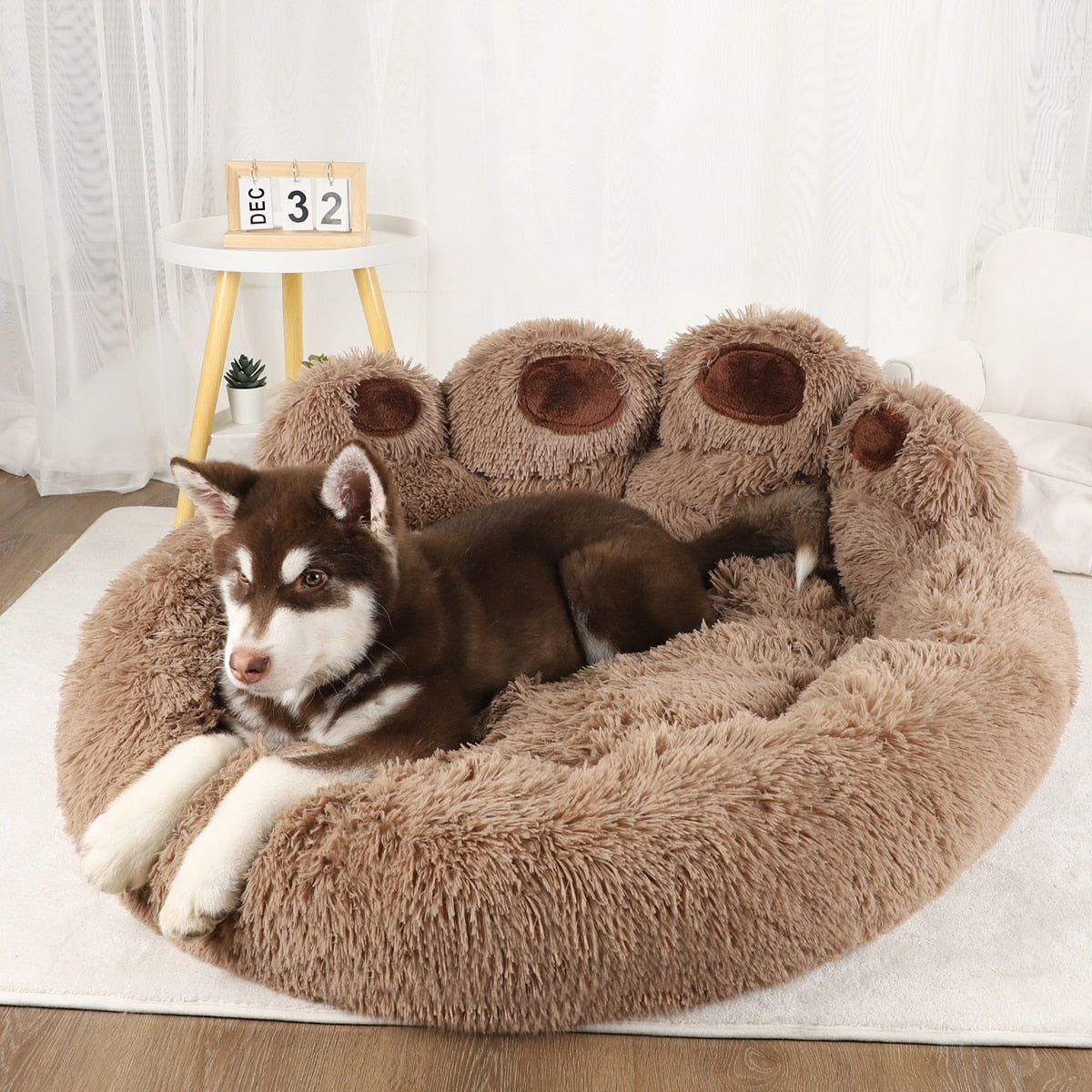 Plushy Cozy Dog Beds