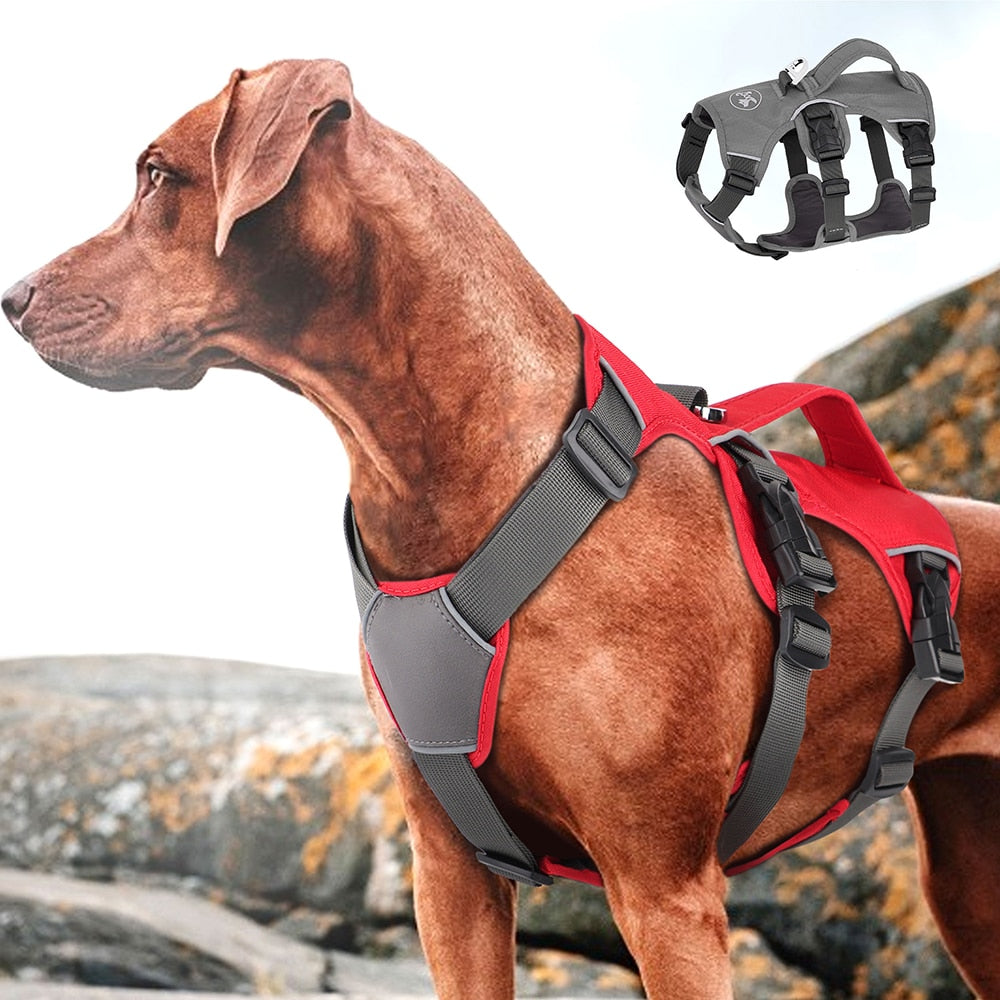 Dog Harness Vest